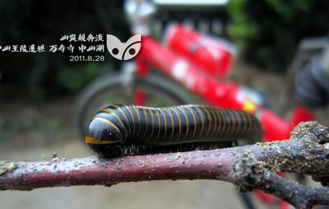 2011，关于骑行的种种12