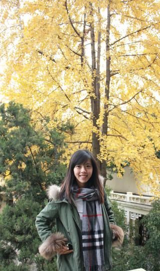 201211末初冬金陵古都丰富攻略-超美枫叶图57