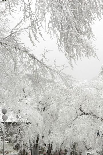 庐山、雪--迟来的回忆1