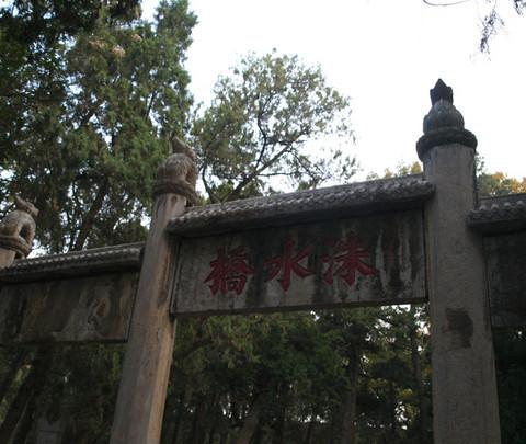 孔林8
