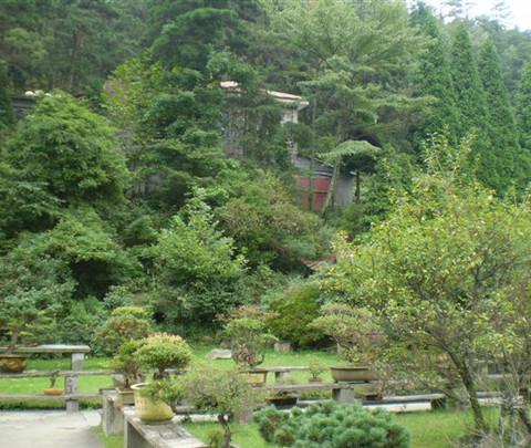 庐山游31