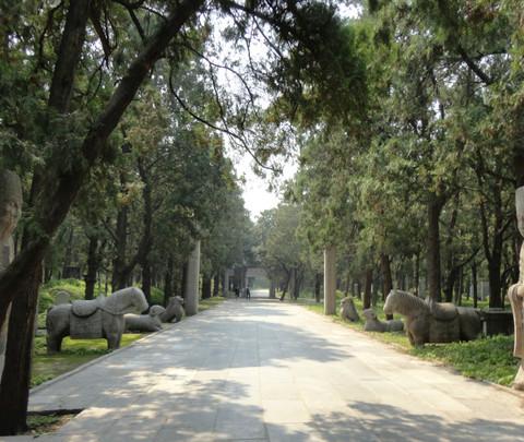 寻觅圣人足迹，聆听历史回声——曲阜之行23