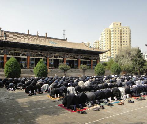 西宁东关清真大寺、塔尔寺、省博物馆、植物园、水井巷、莫家街。。。25