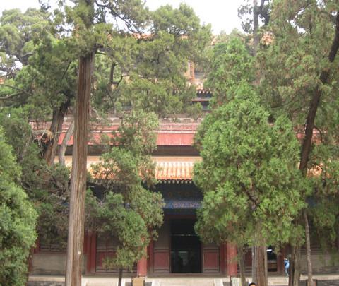曲阜朝圣之旅16