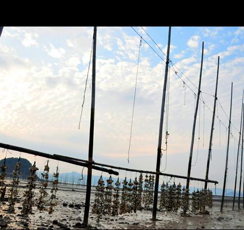 【福建·霞浦】那些年我们一起追过的滩涂10