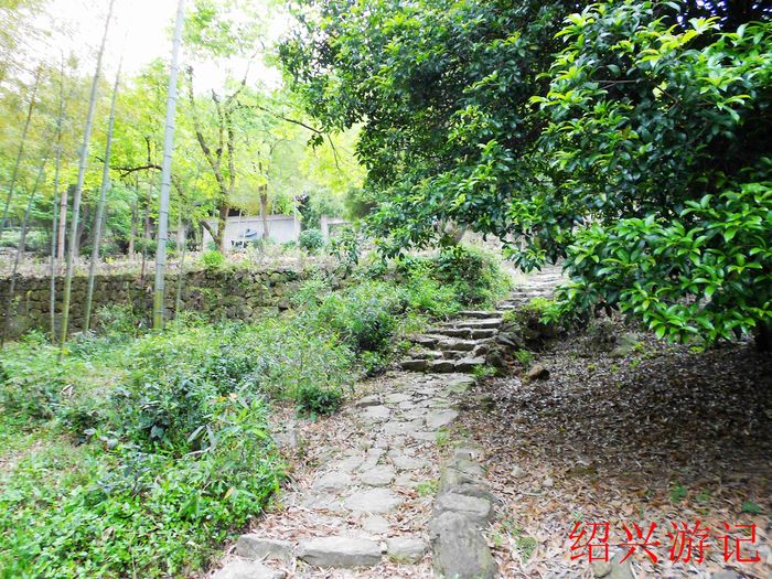 绍兴大香林风景区19