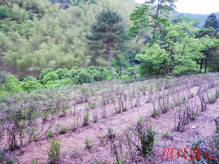 绍兴大香林风景区16