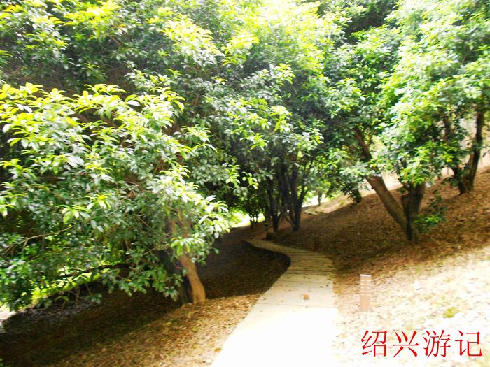绍兴大香林风景区15