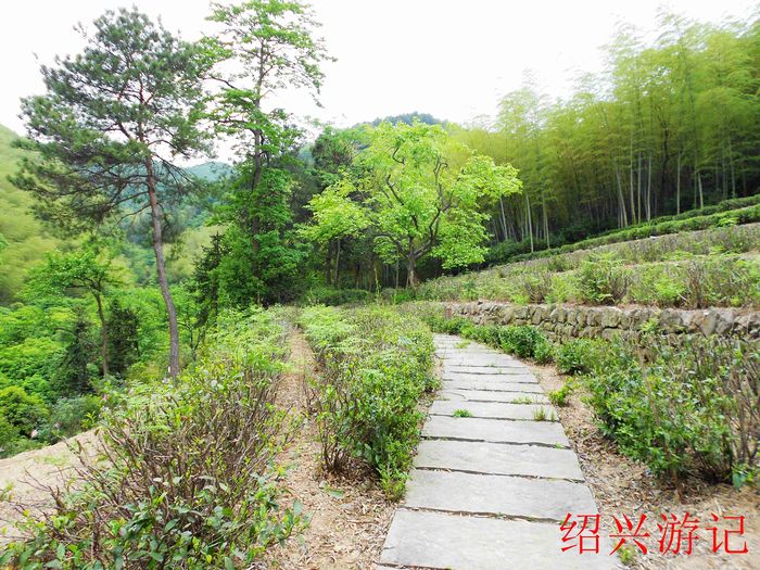 绍兴大香林风景区13