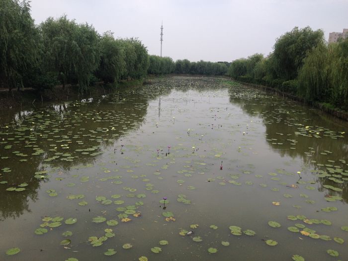 【上海】又“发现”一个新去处——沈湖生态农庄4