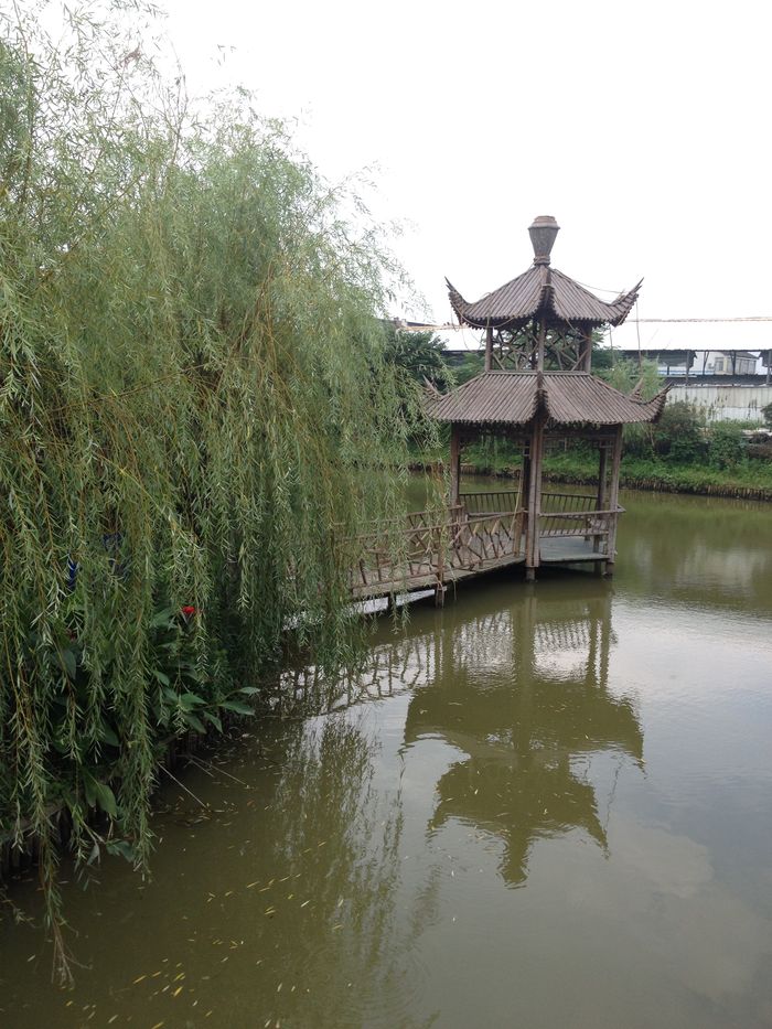 【上海】又“发现”一个新去处——沈湖生态农庄35