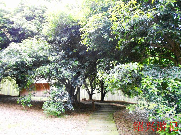 绍兴大香林风景区10