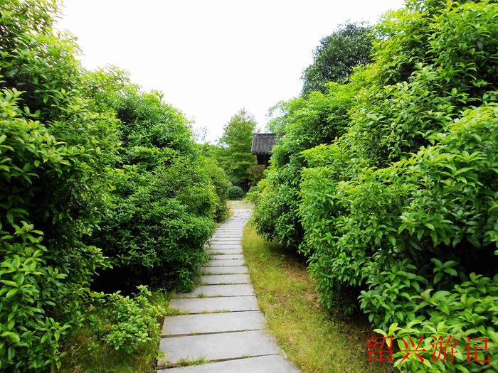 绍兴大香林风景区5