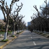 毕业那年,致青春--------上海 南通四日游9