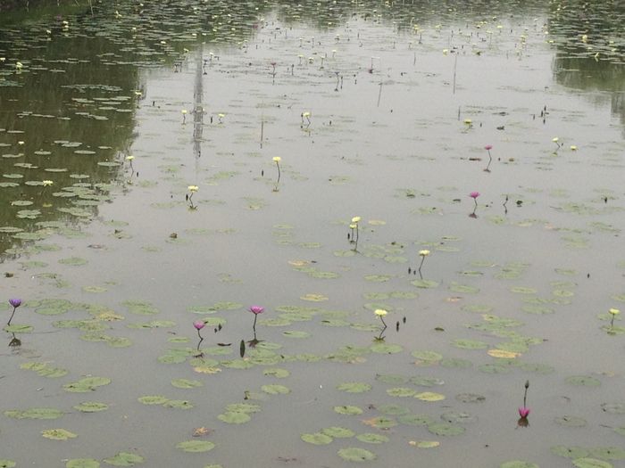 【上海】又“发现”一个新去处——沈湖生态农庄3