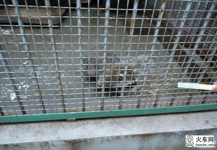 [美丽的青岛]青岛海滨亲子游9