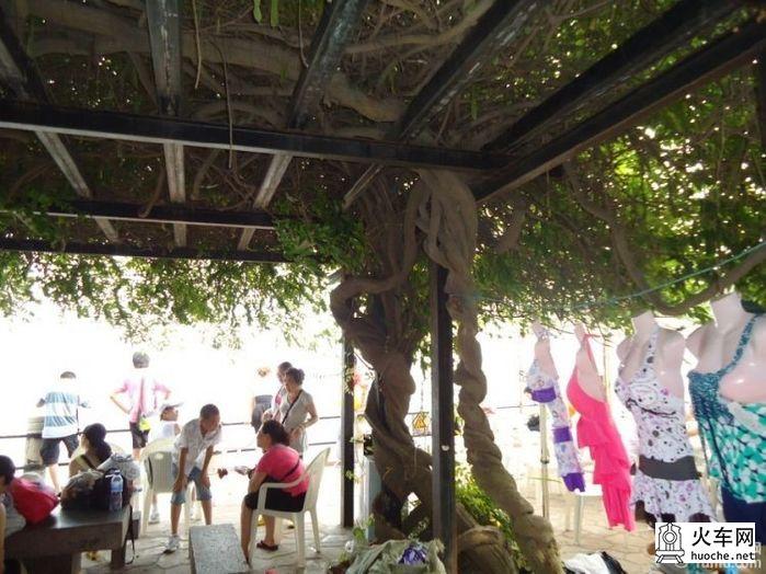[美丽的青岛]青岛海滨亲子游42